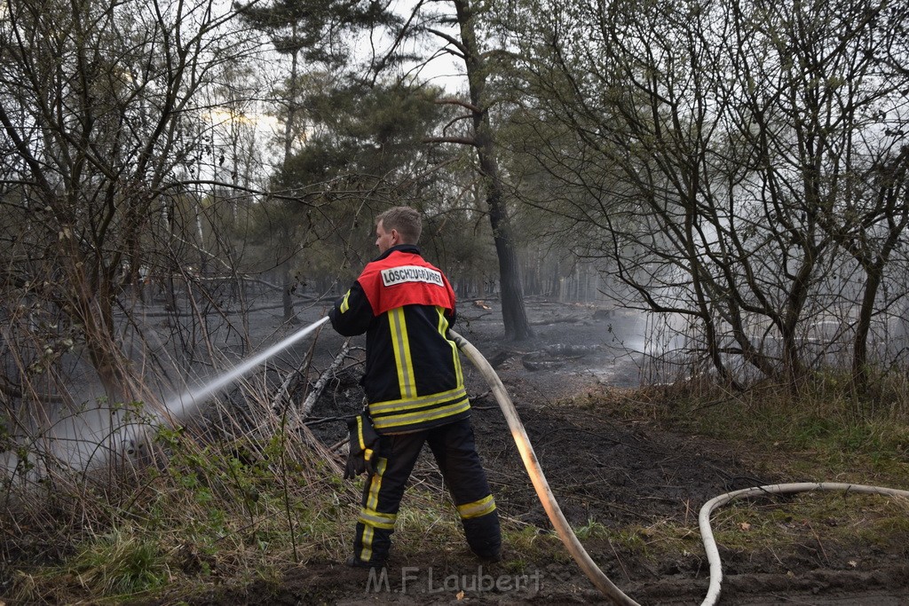 Waldbrand Wahner Heide Troisdorf Eisenweg P480.JPG - Miklos Laubert